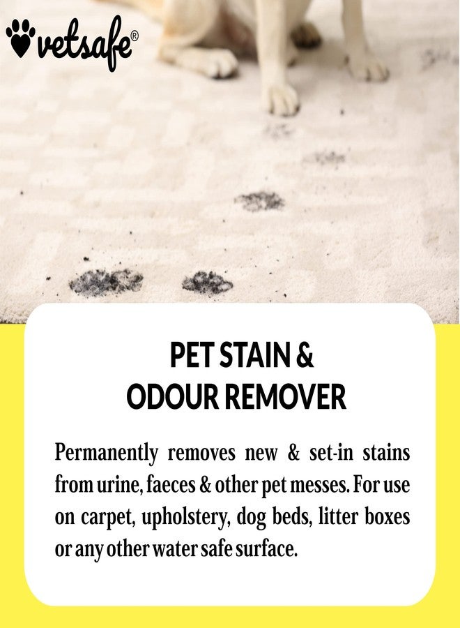 VetSafe Pet Stain & Odour Remover 500 ml | 3X Cleaning Power | Eliminates Tough Stains & Odours | Prevents Repeat Marking | Ideal for Feces, Urine, Vomit & Drool | Pet Area Cleaner - Image 5